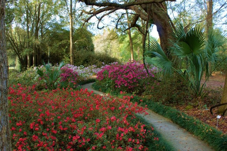 Kanapaha Botanical Gardens, United States